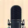 Microphone icon